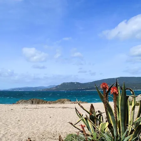 דירה Gorgeous In